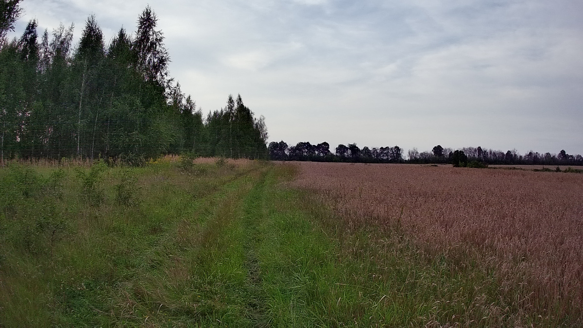 Природа. Фото автора.