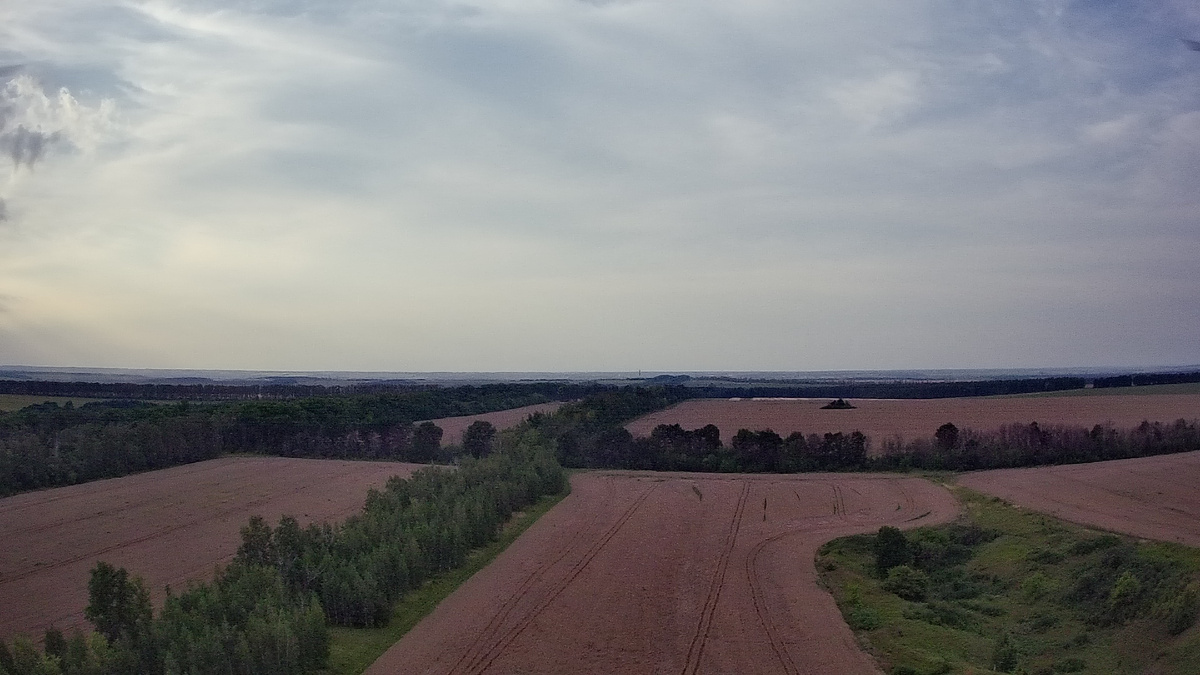 Природа. Фото автора.