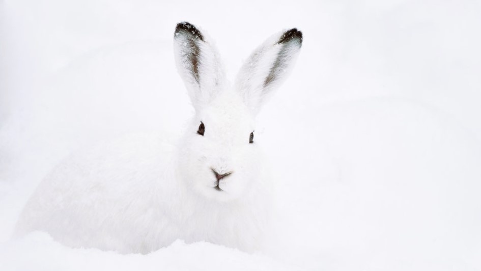 ЕЩЕ ФОТО --->>