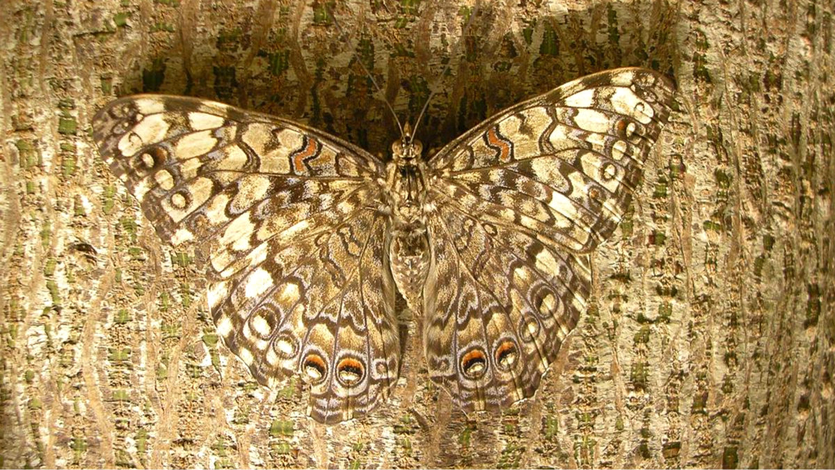 ЕЩЕ ФОТО --->>