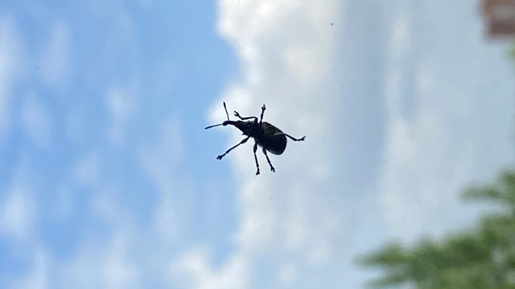    ФОТО: Alexander Legky/Globallookpress