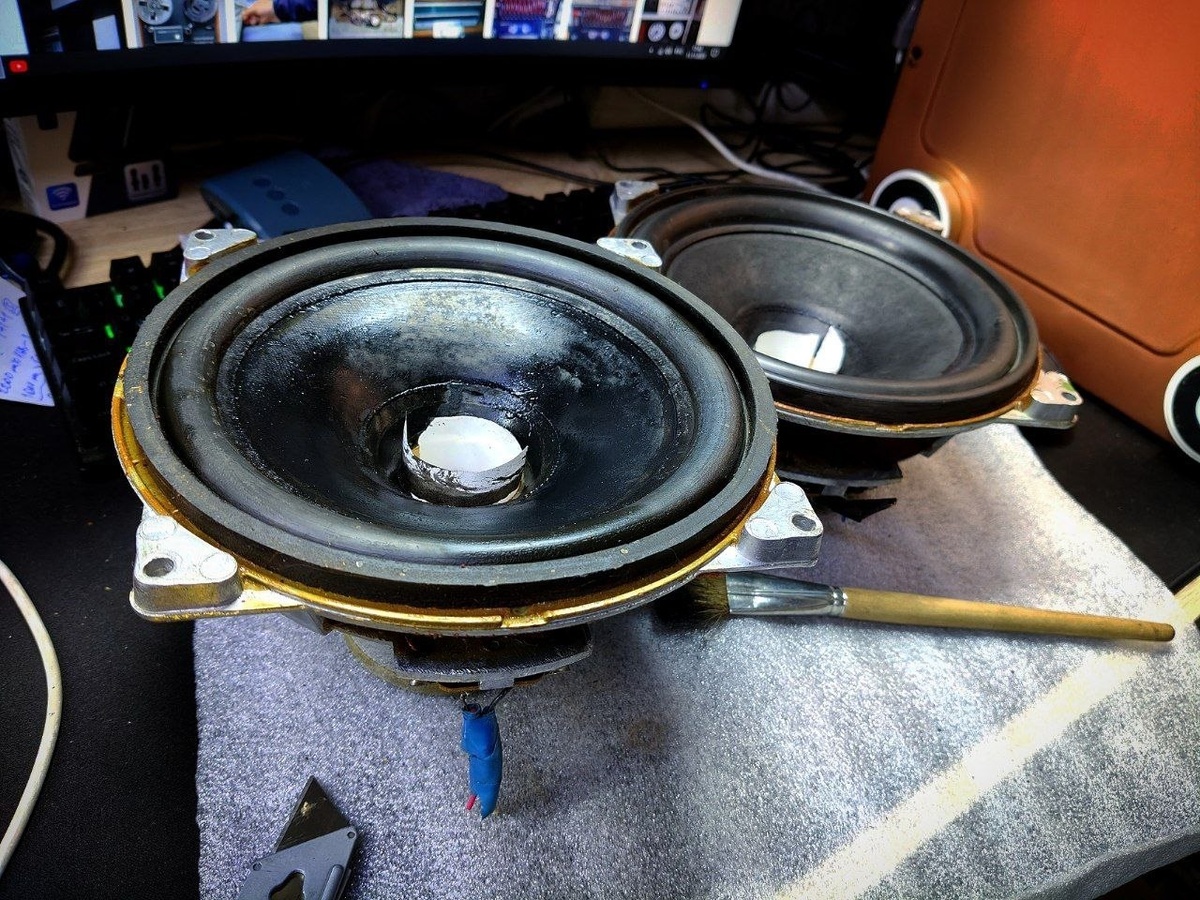 НЧ динамики от акустики Вега 50АС-106