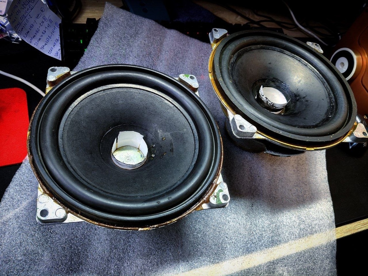 НЧ динамики от акустики Вега 50АС-106