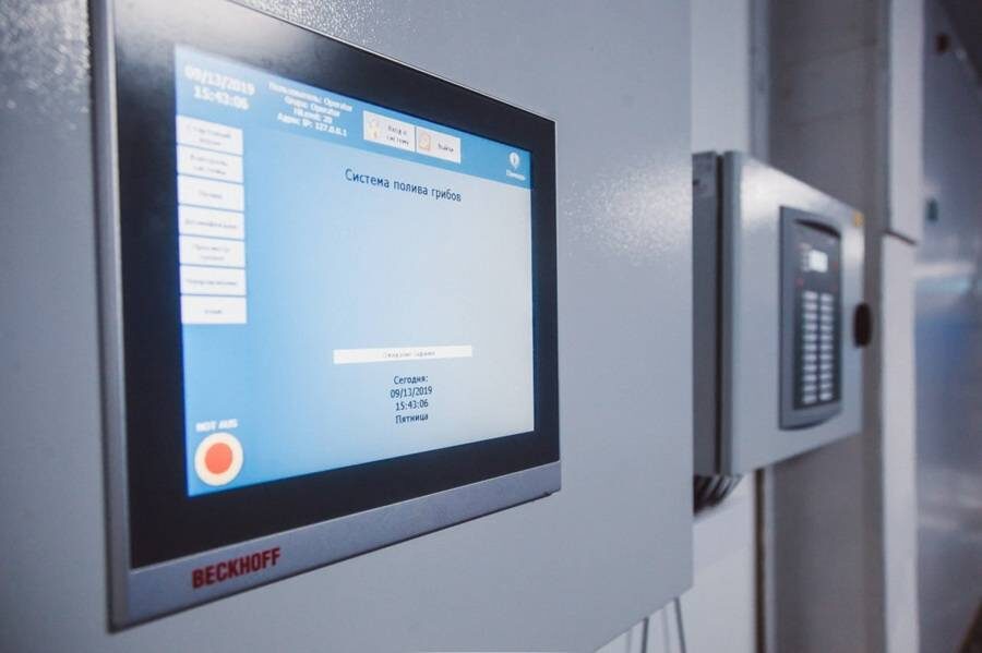 За несколько лет в России были построены десятки современных грибных производств