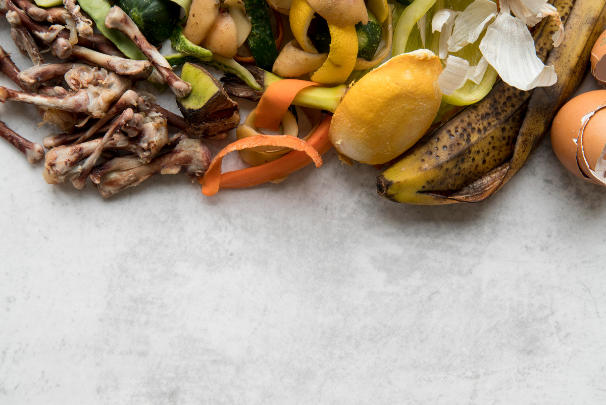 Фото с сайта freepik.com