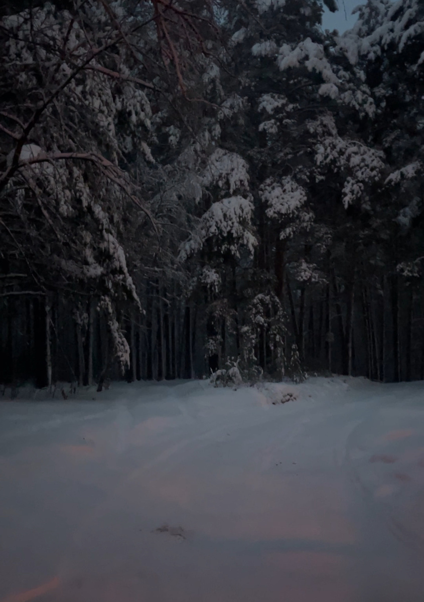 Красота на парковке в школе 🌲 