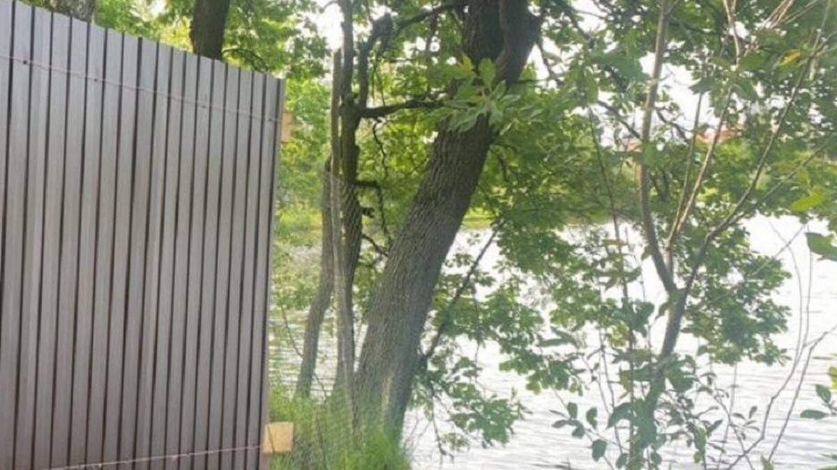    Фото: пресс-служба Минэкологии Московской области