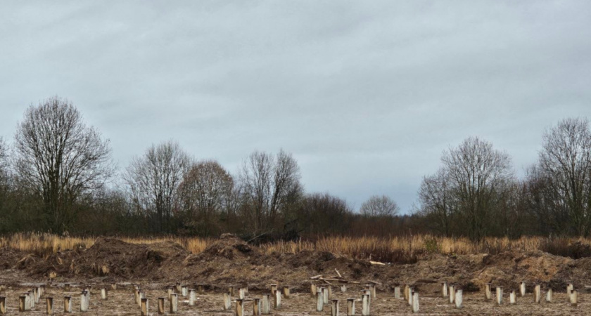    В Вологодской области началось строительство сельского дома культуры