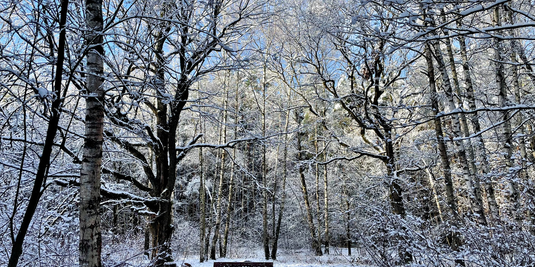 ЗКМ: Бирюлево – Теплый стан