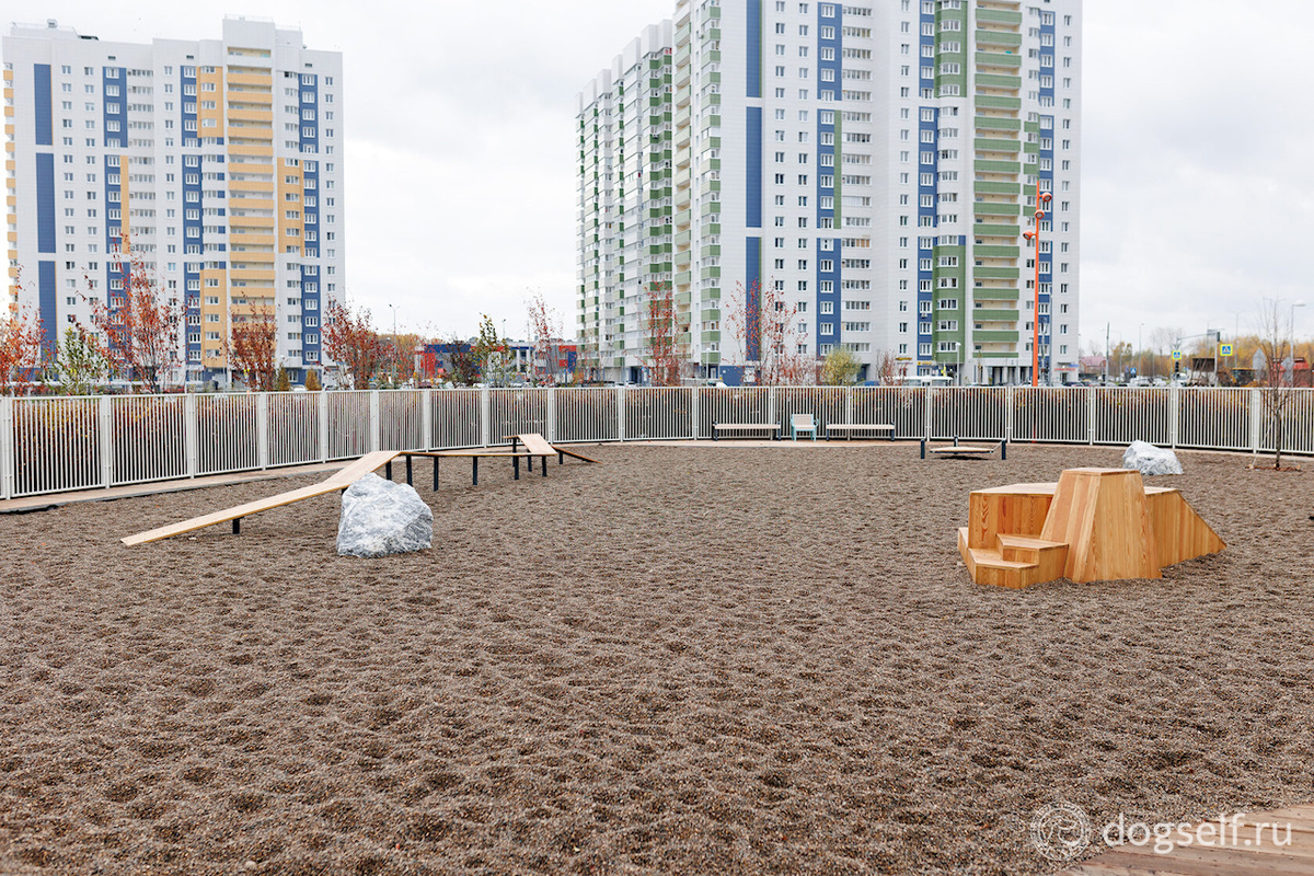 Современная площадка с игровым оборудованием для собак «Собакин город» в казанском парке «Салават Купере» | Изображение: «Программа развития общественных пространств Республики Татарстан»