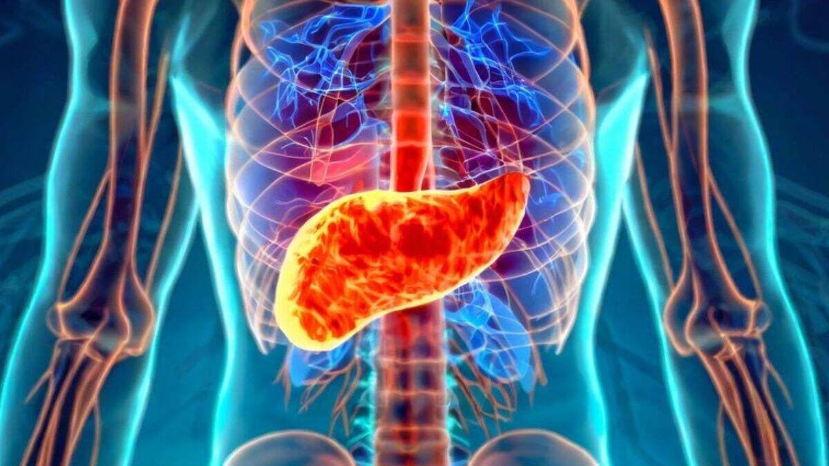 Гастроэнтеролог Рассказал, Как Поджелудочная Влияет на Давление и Сон — Интервью