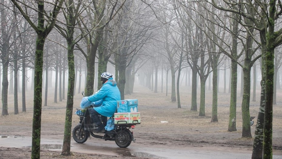 Автор фото: Сергей Ермохин / "Деловой Петербург"