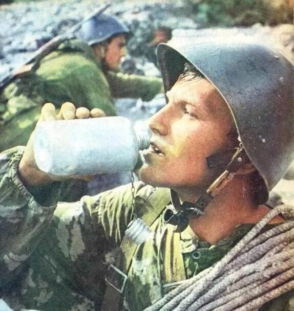 фото из интернета.