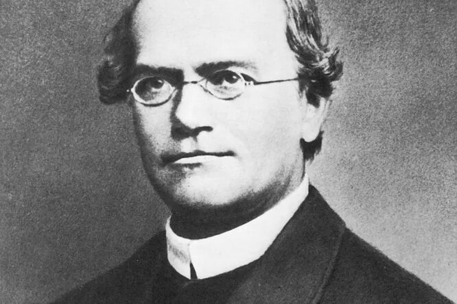     Самые известные генетики в истории