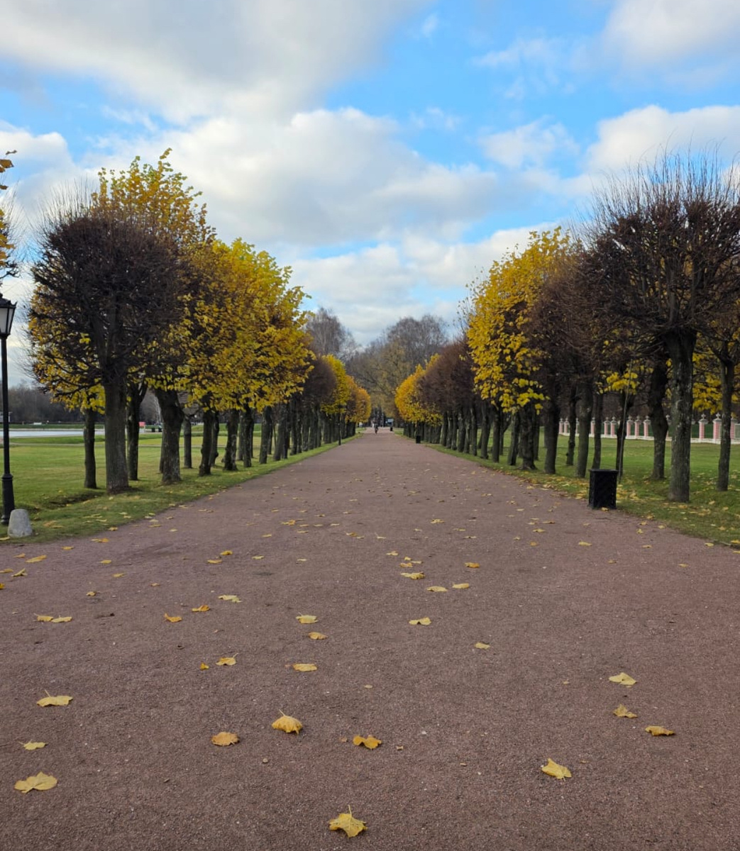 Фото автора. Парк Кусково. 
