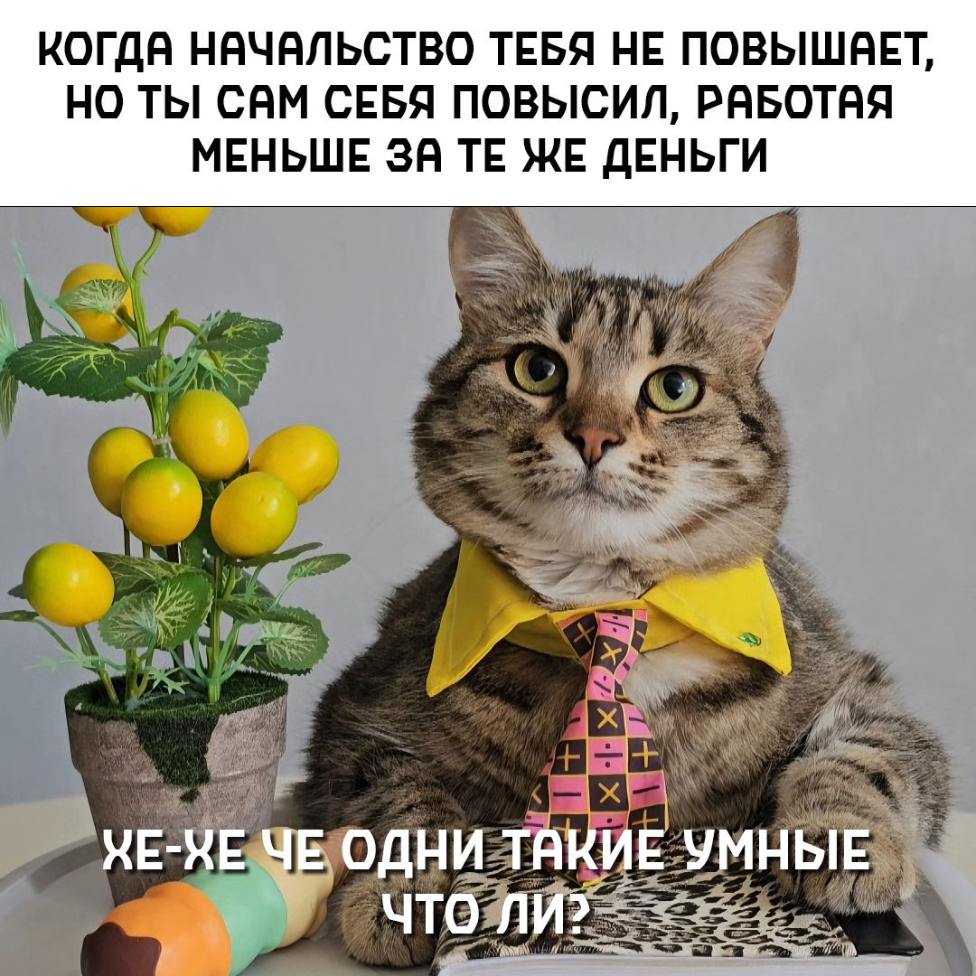 Экономим энергию! ⚡️👌