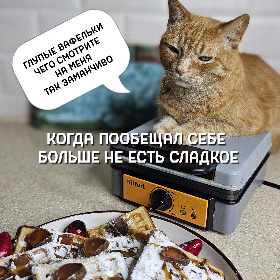 
Вечерняя драма с вафельками 🍫😭