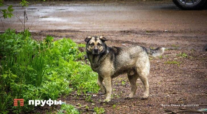    Фото: Пруфы.РФ