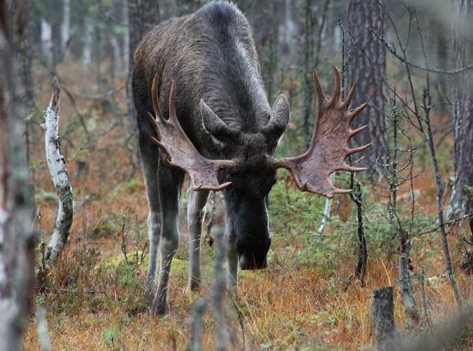 Фото Натальи Панчук