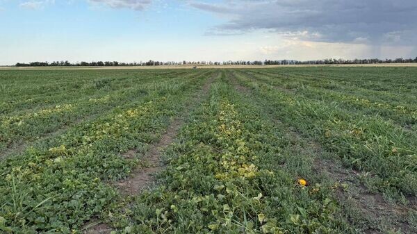    © Пресс-служба Прокуратуры Республики Крым