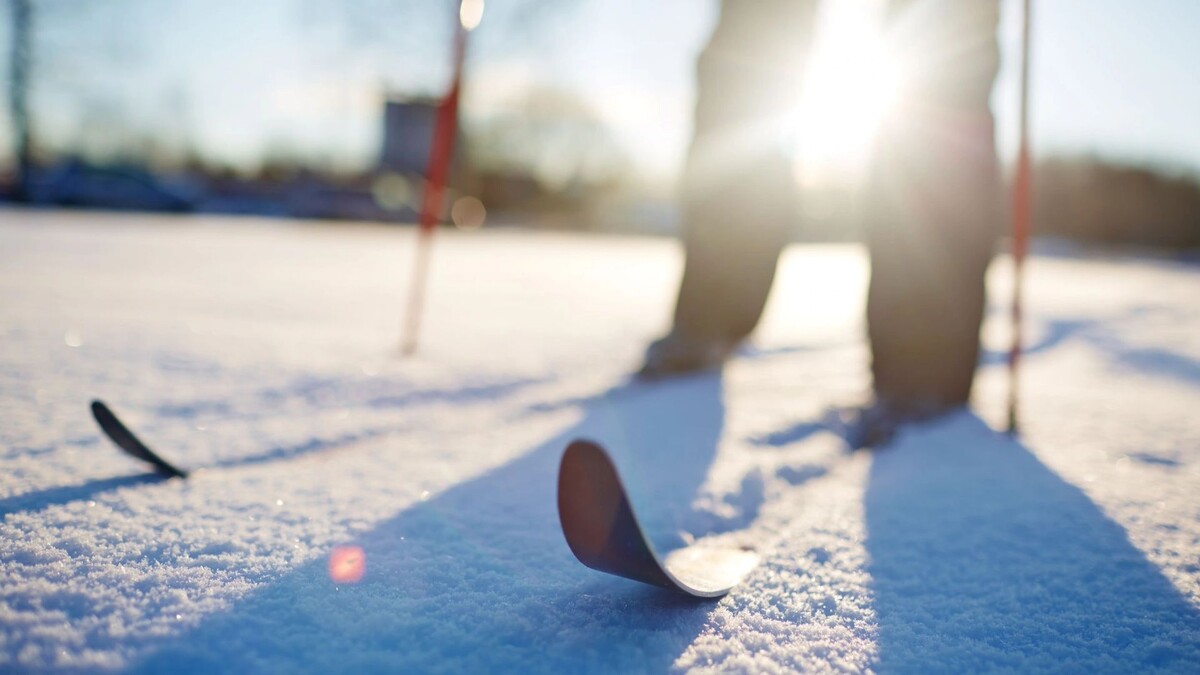    Фото: Pressmaster/Shutterstock/Fotodom