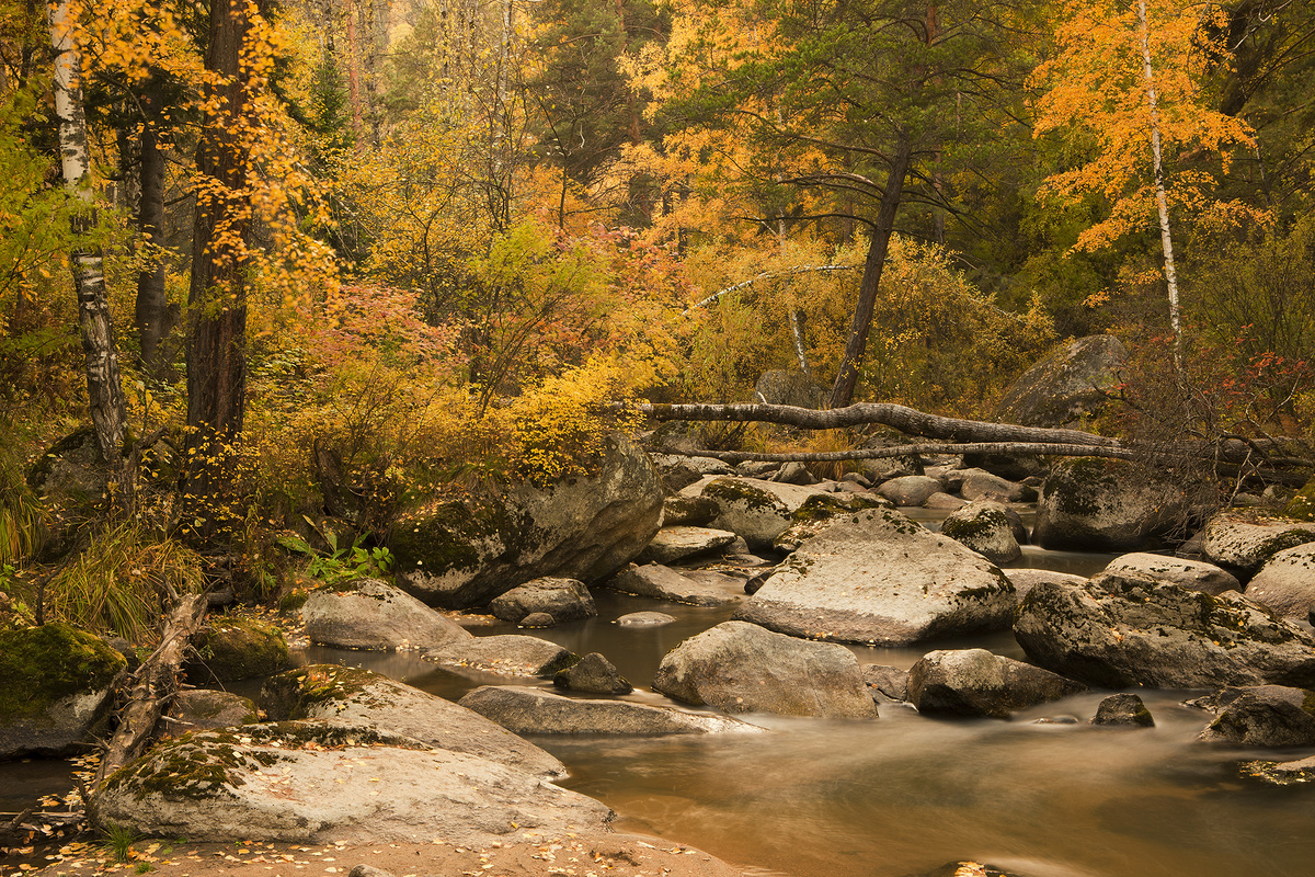 Автор фото: Игорь Хайтман.