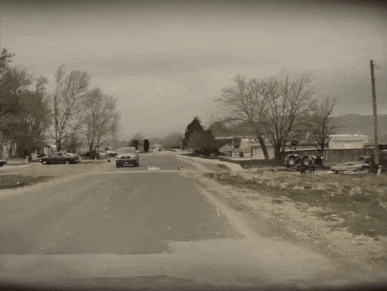 Птицы находятся у края дороги и хотят перейти дорогу, FSD останавливается и ожидает