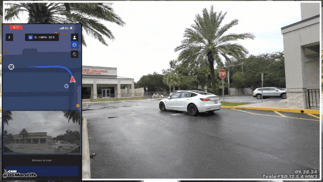 Тут птицы находится у обочины, но они просто хотят остаться на месте, FSD объезжает их не замедляясь.