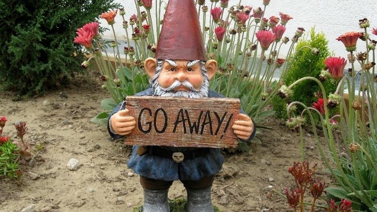 Гном, да не мой