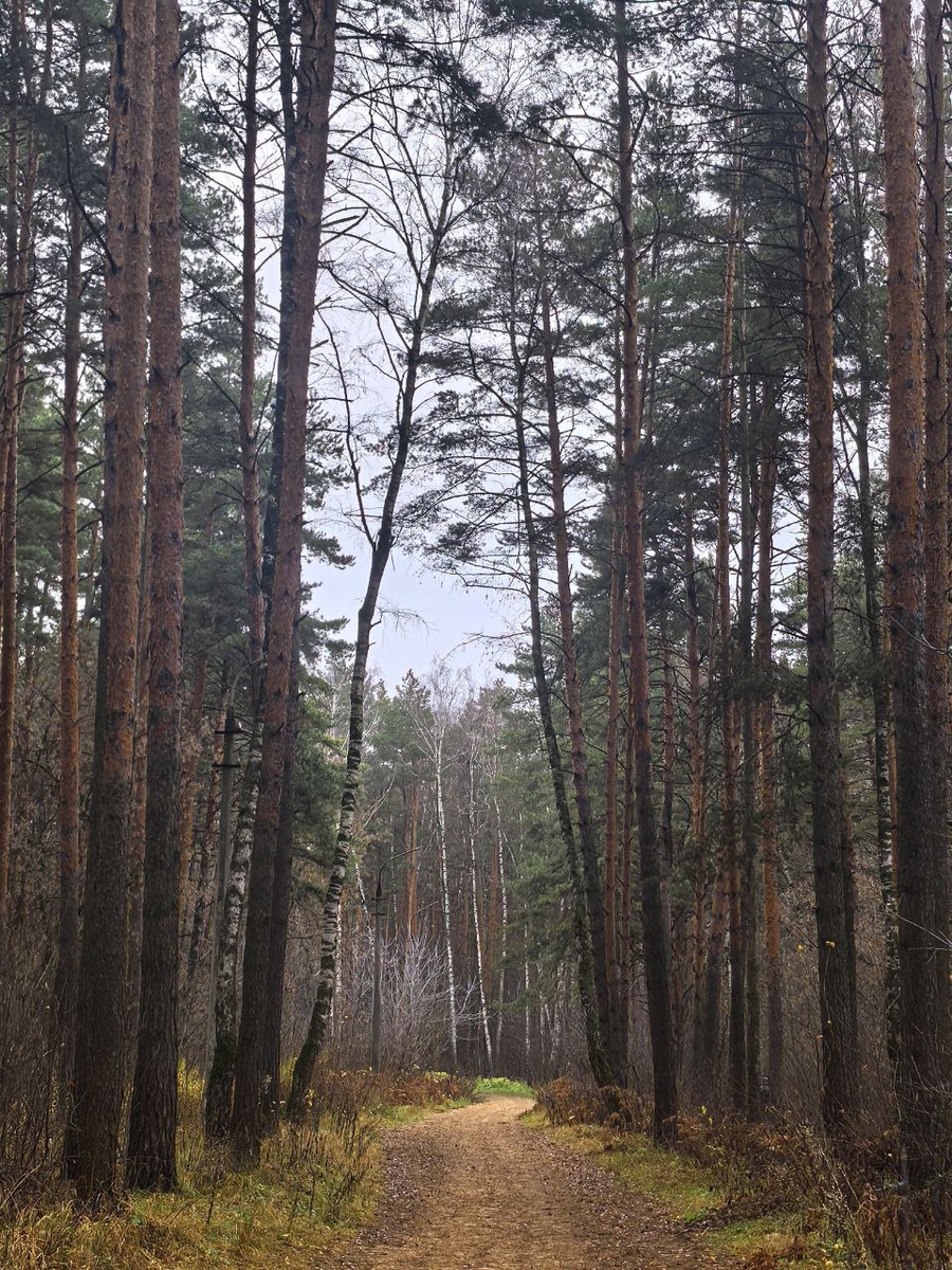 Авторское фото