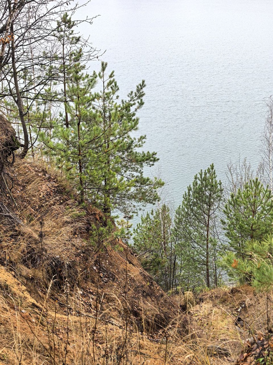 Авторское фото