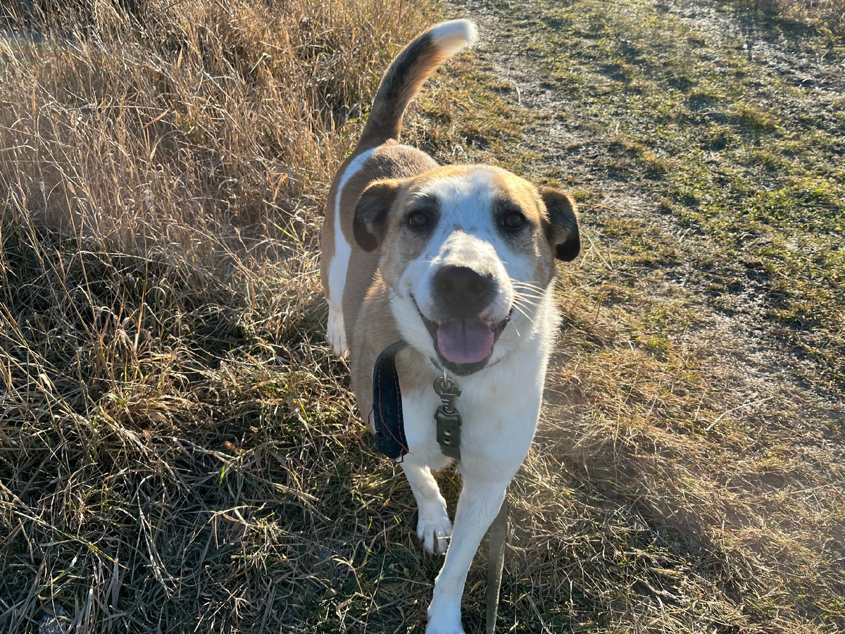 "Друзья , как дела?!"- спрашивает Голди 