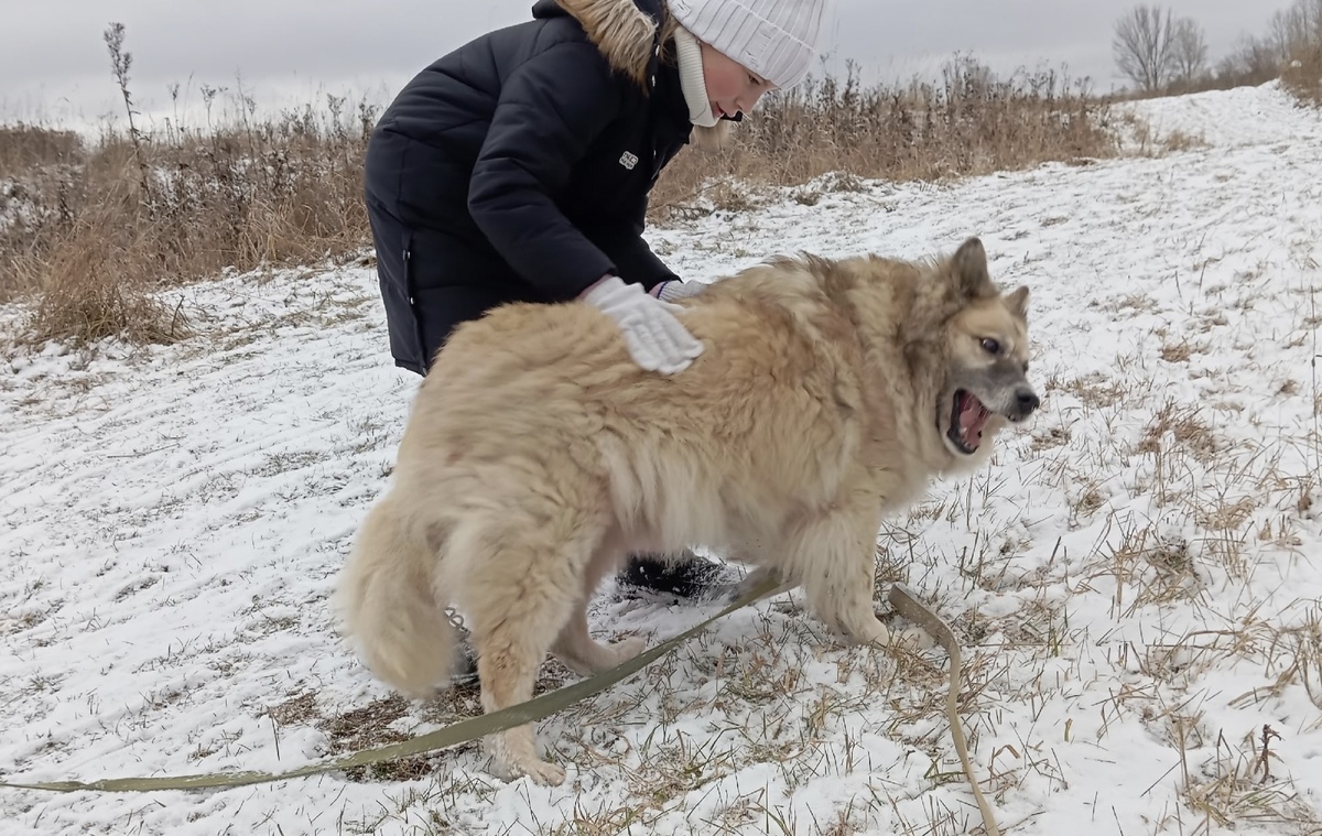 Мишель утвердилась к зиме.