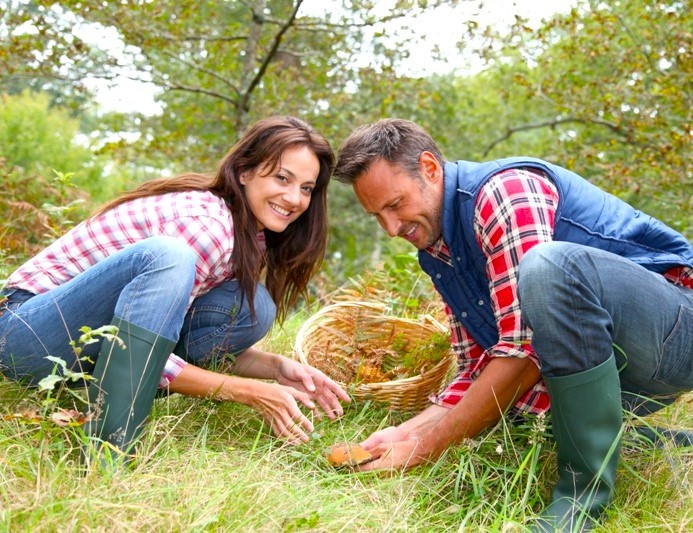 Из свободных источников