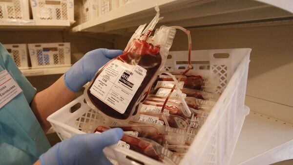    © Sputnik / Егор Еремов