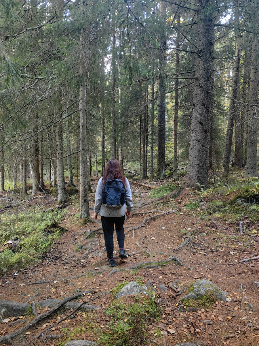 Тропа от озера Двинское к озеру Пестово.