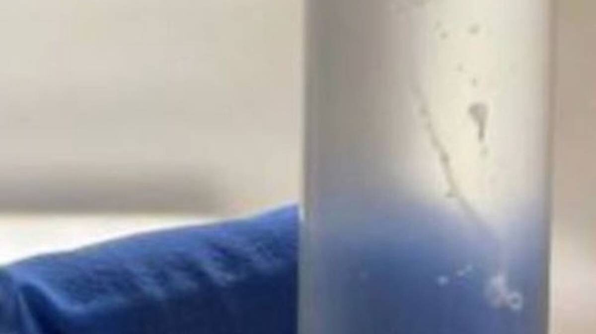    Фото: Скриншот видео / Shot / Telegram