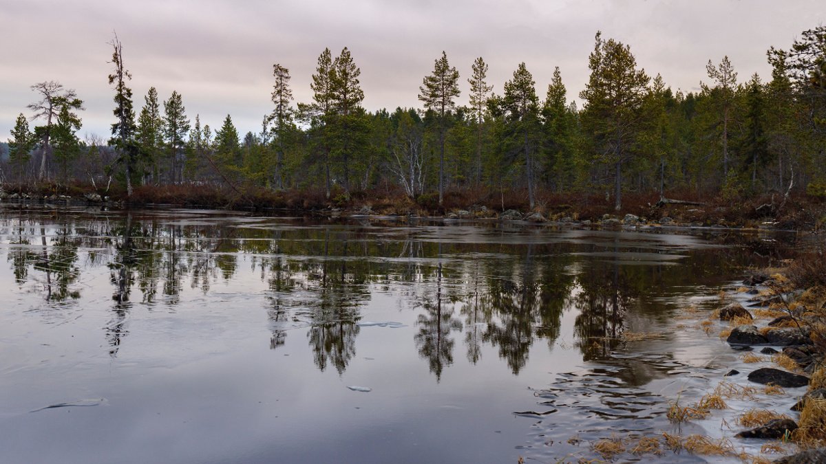 Озеро в Карелии, моя фотография