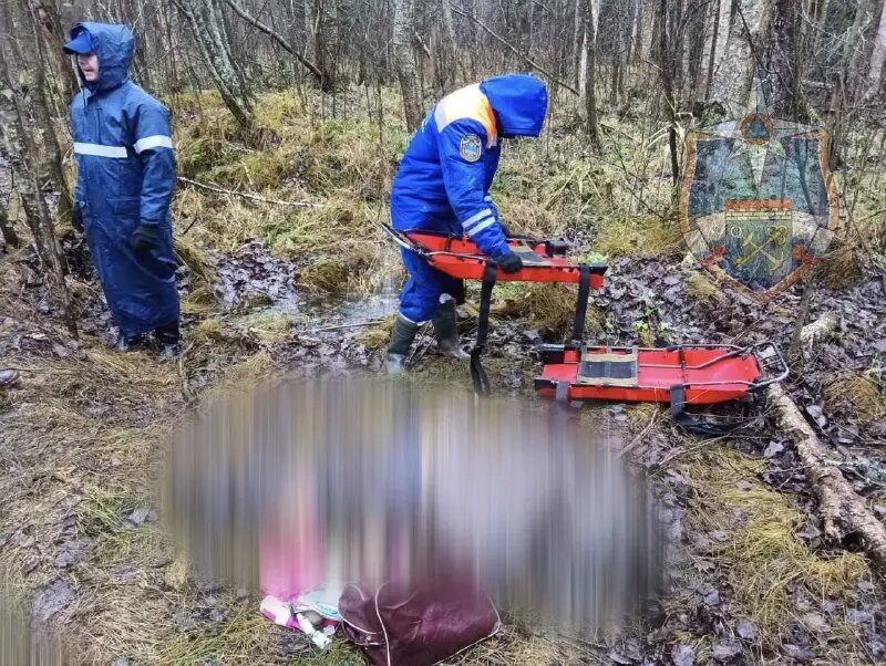    Фото: пресс-служба аварийно-спасательной службы Ленобласти