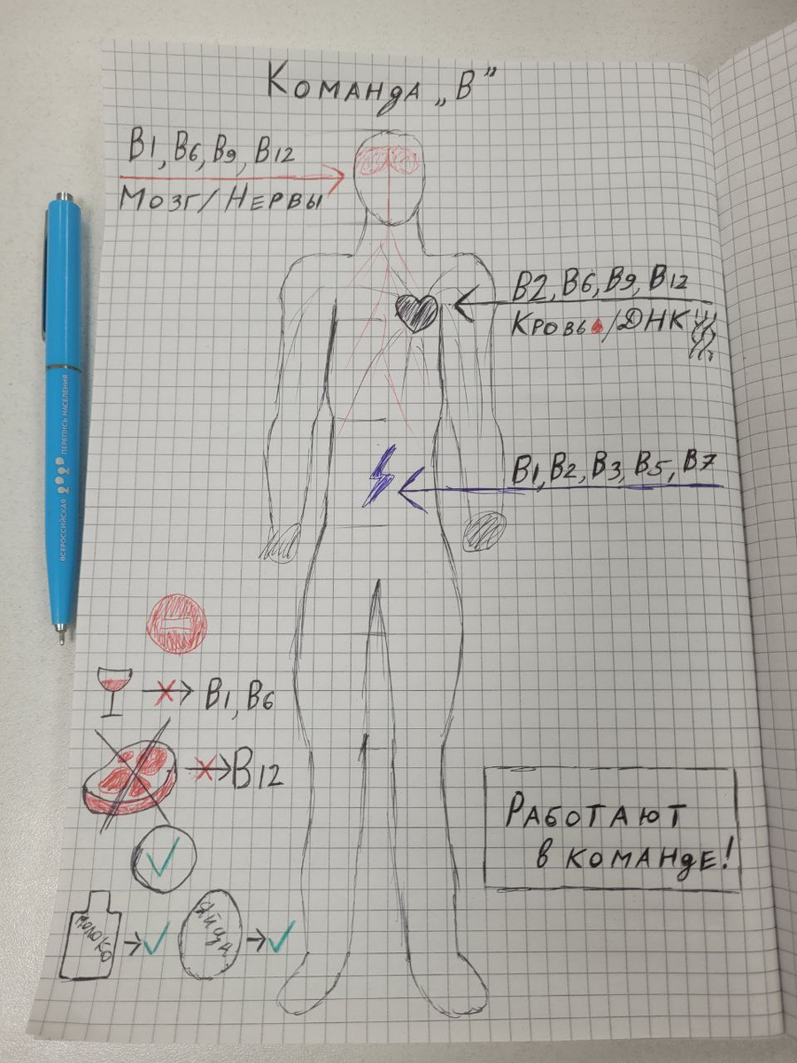 А это наглядная карта, показывающая, кто в команде B за что отвечает.