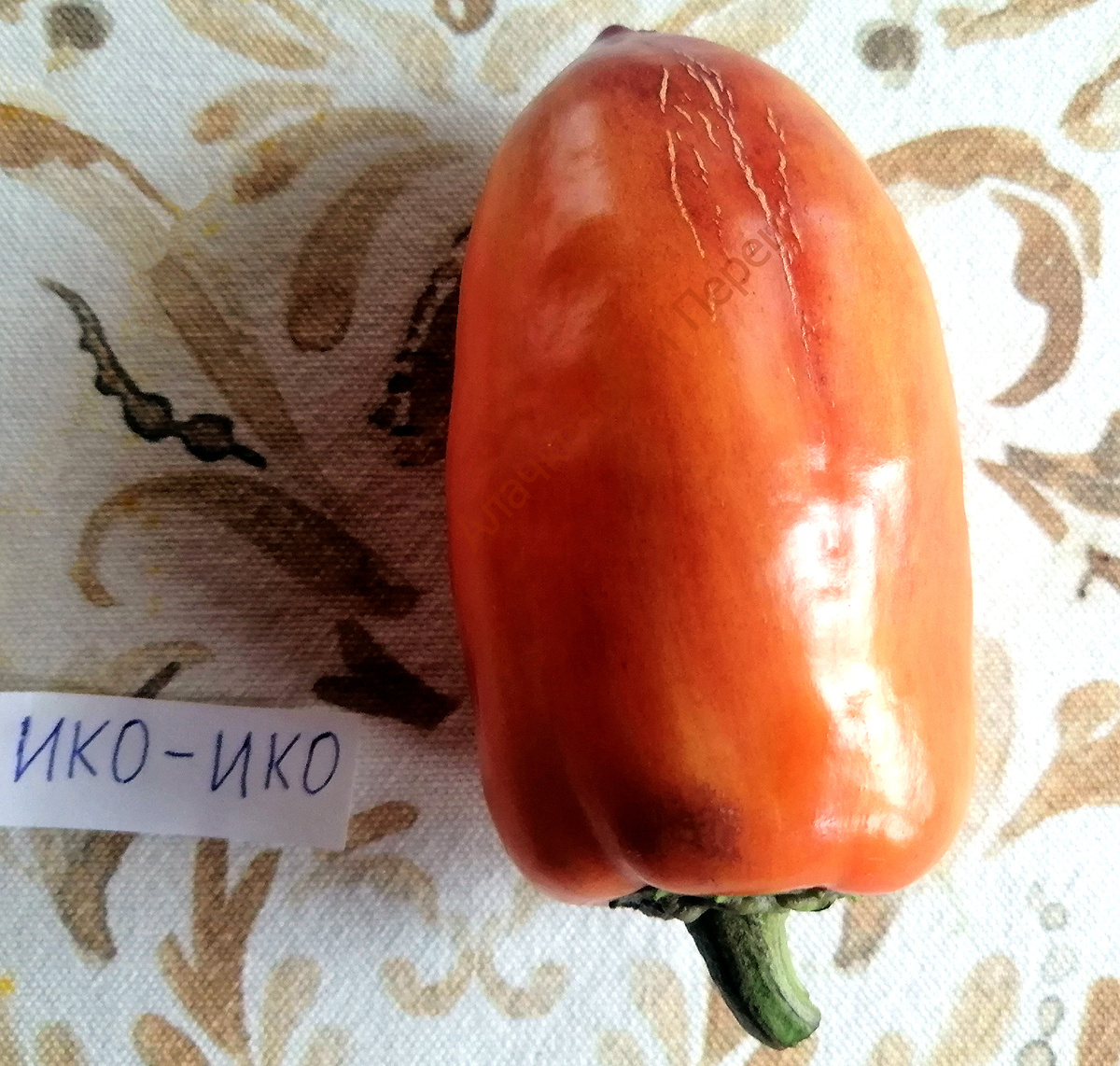 Iko-Iko (Ико-Ико)