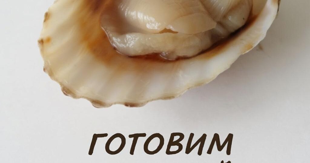 Морской гребешок: нежный деликатес из океанских глубин 🐚