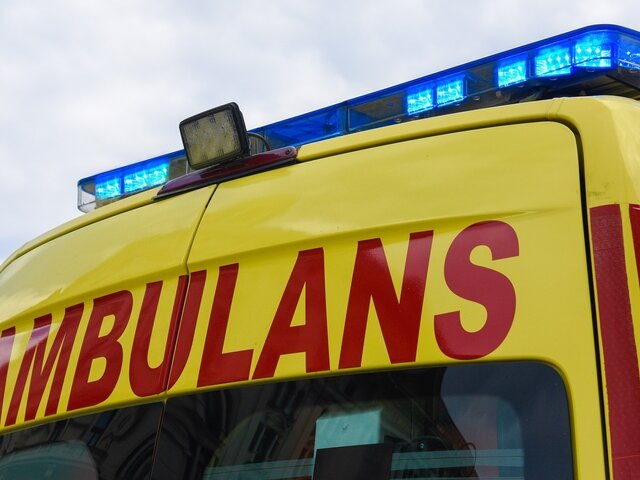    Фото: 123RF/picsperfect