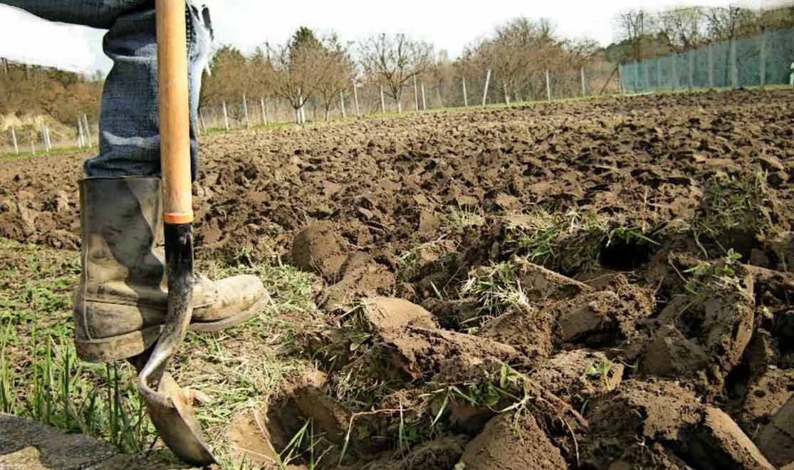 Как правильно перекопать огород осенью