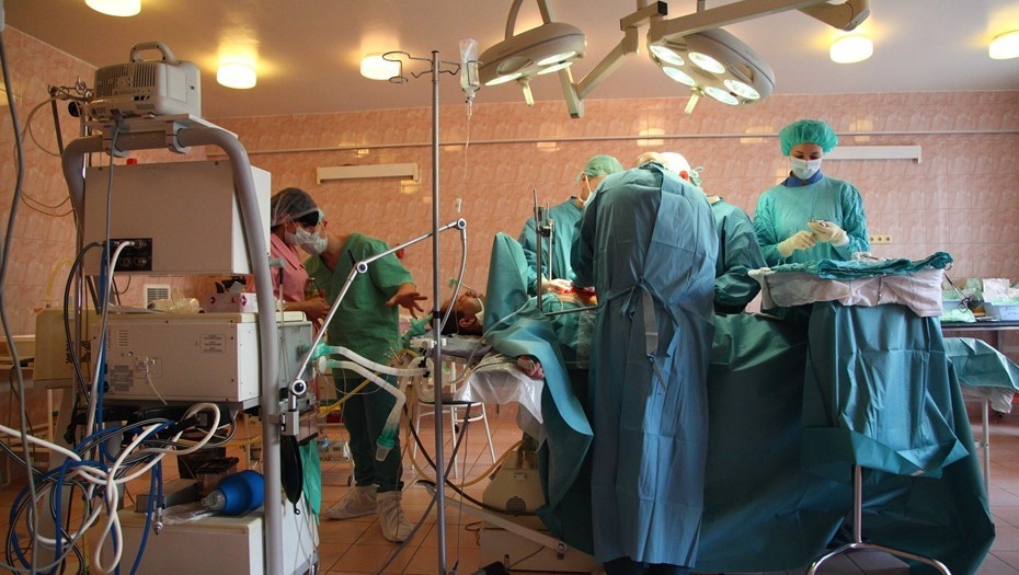 Автор фото: Павел Волков / "Деловой Петербург".