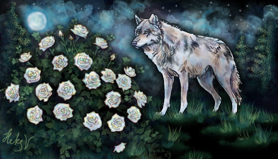 Иллюстрация к лотарингской сказке «Белый волк»