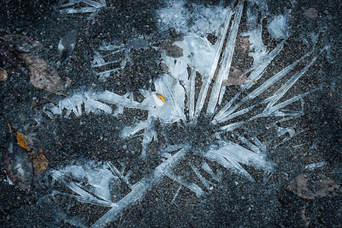    Фото: Республика" / Оксана Кудряшова