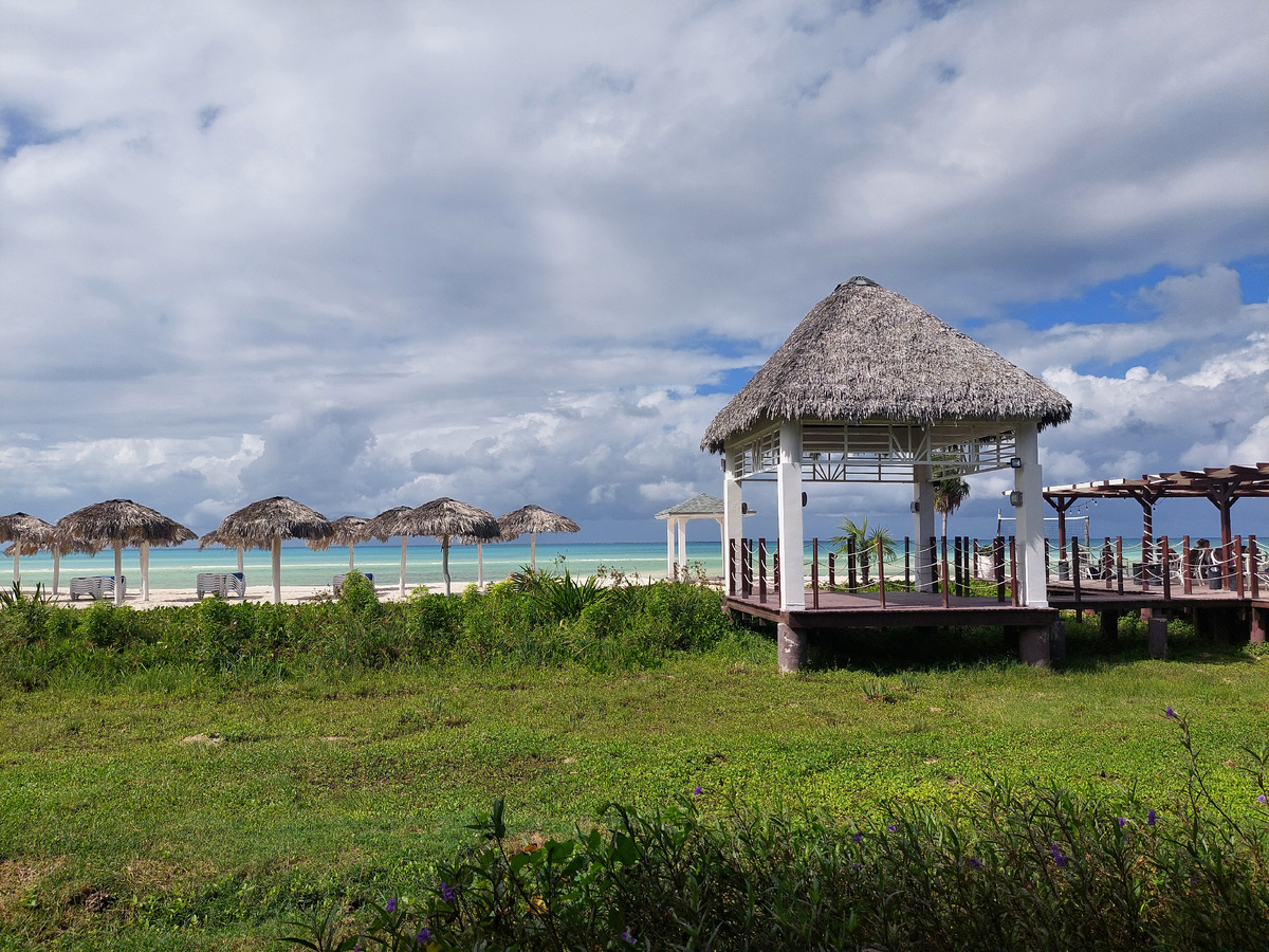 траву косить не очень любят