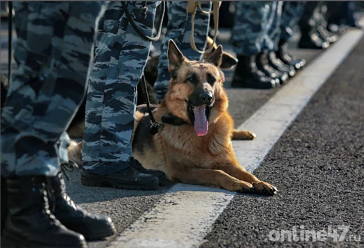 фото: Валентин Илюшин/Online47