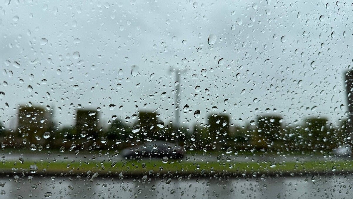    Фото: телеканал «Краснодар»